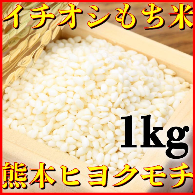 令和4年産棚田育ちのヒヨクモチ20kg 新米