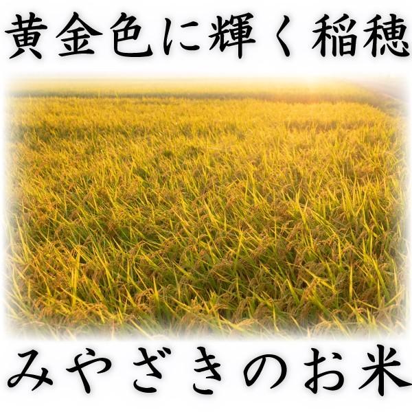 Tetsuya Miyata  白米10kg 楽天市場】タイワ 精米機 まん咲 PX-10A (10kg/1回通し型) [精米
