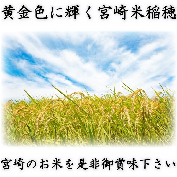 あきたこまち お米 米 10kg 白米 送料別 宮崎県産 新米 令和7
