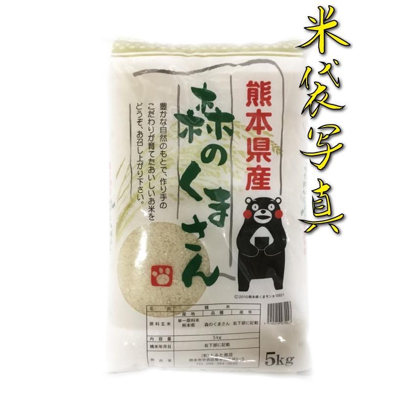 森のくまさん お米 米 20kg 白米 送料別 最短 熊本県産 令和7年産 5kg4
