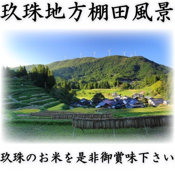 大分県産米 ひとめぼれ 10kg(5kg×2袋) 楽天市場】大分県 ひとめぼれ 米 2kg 5kg 10kg 15kg 20kg 25kg