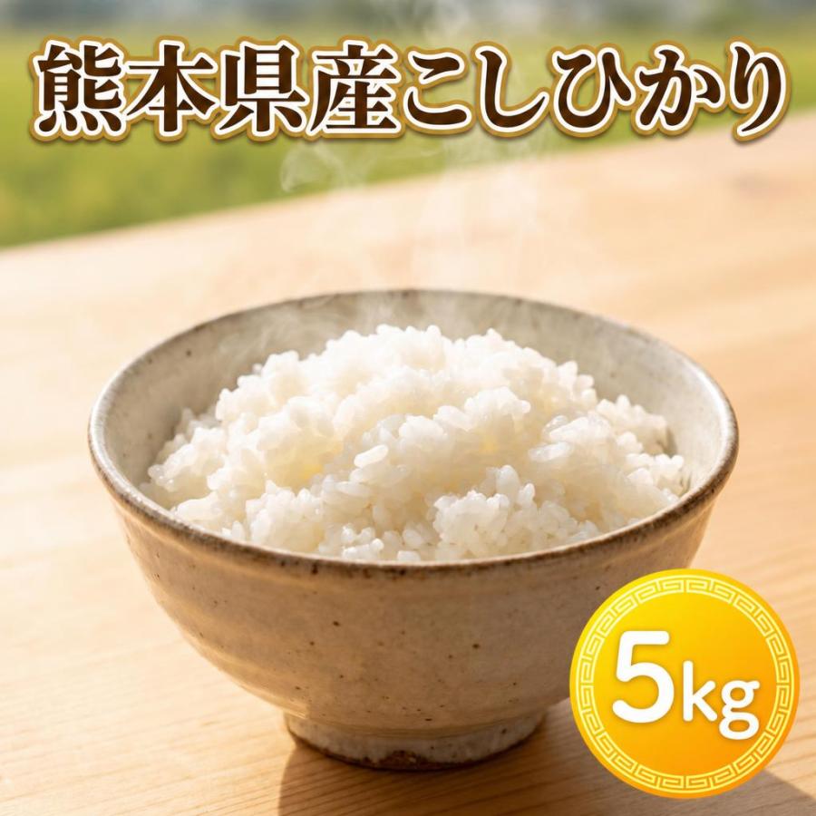 コシヒカリ お米 米 5kg 白米 送料別 最短 熊本県産 こしひかり 新米