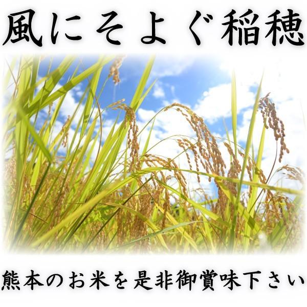 お米 米 20kg 白米 熊本県産 こしひかり あすつく 令和5年産 コシヒカリ 5kg4個 くまもとのお米 富田商店 とみた商店｜tomitasyoten｜03