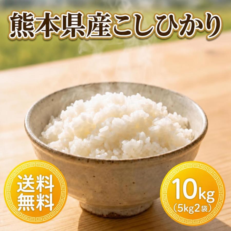 お米 米 10kg 白米 送料無料 最短 熊本県産 こしひかり 新米 令和8年産 コシヒカリ 5kg2個 くまもとのお米 富田商店 とみた商店