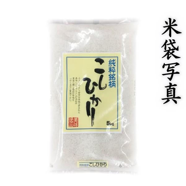 コシヒカリ お米 米 30kg 白米 送料別 最短 熊本 阿蘇産 こしひかり 令 
