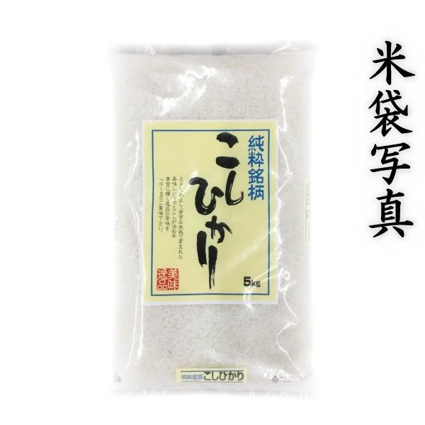 お米 米 30kg 白米 熊本 阿蘇産 こしひかり あすつく 令和5年産 コシヒカリ 5kg6個 くまもとのお米 富田商店 とみた商店｜tomitasyoten｜02