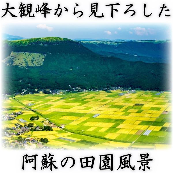 お米 米 30kg 白米 熊本 阿蘇産 こしひかり あすつく 令和5年産 コシヒカリ 5kg6個 くまもとのお米 富田商店 とみた商店｜tomitasyoten｜04