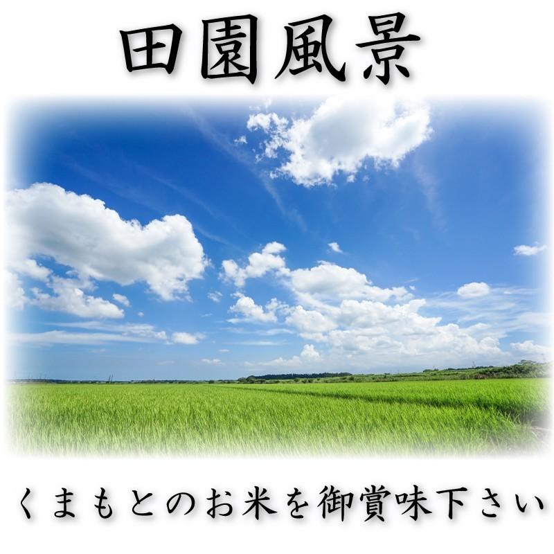 お米 米 10kg 白米 無洗米 熊本県産 ひのひかり あすつく 令和5年産 ヒノヒカリ 5kg2個 くまもとのお米 富田商店 とみた商店｜tomitasyoten｜04