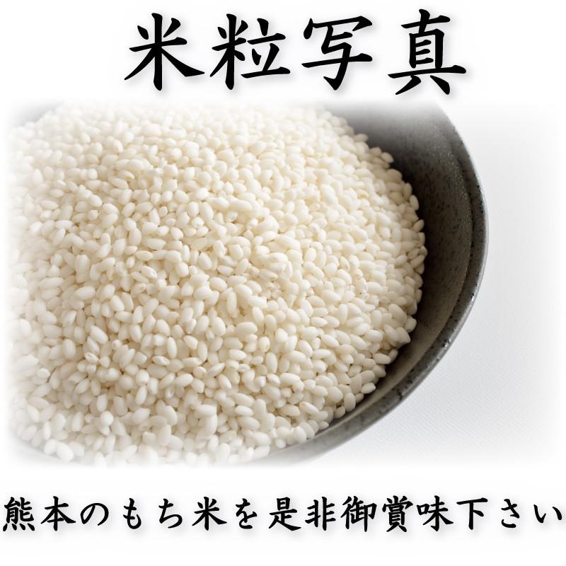 お米 米 5kg もち白米 送料無料 熊本県産 ヒヨクモチ あすつく 令和5年産 5kg1個 くまもとのお米 富田商店 とみた商店｜tomitasyoten｜03