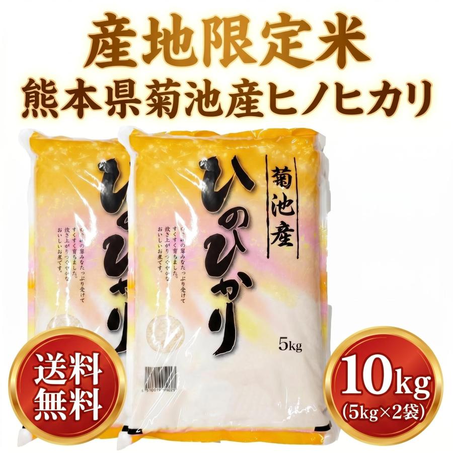 ヒノヒカリ お米 米 10kg 白米 送料無料 最短 熊本県 菊池産 ひの