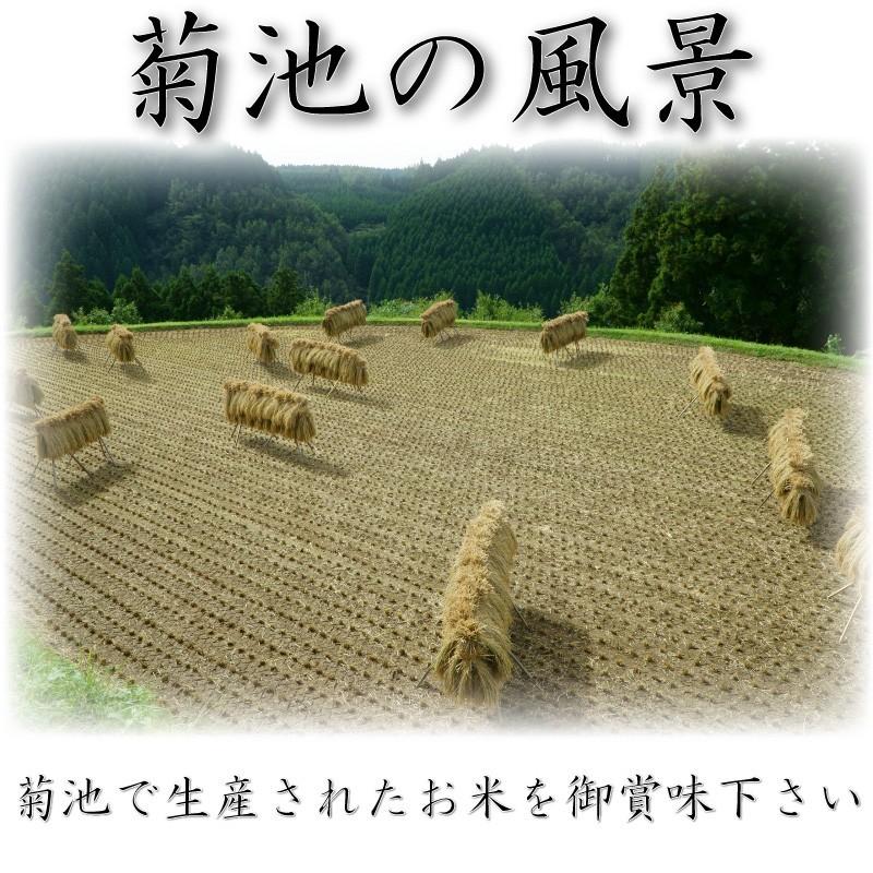 ヒノヒカリ お米 米 10kg 白米 送料無料 最短 熊本県 菊池産 ひの