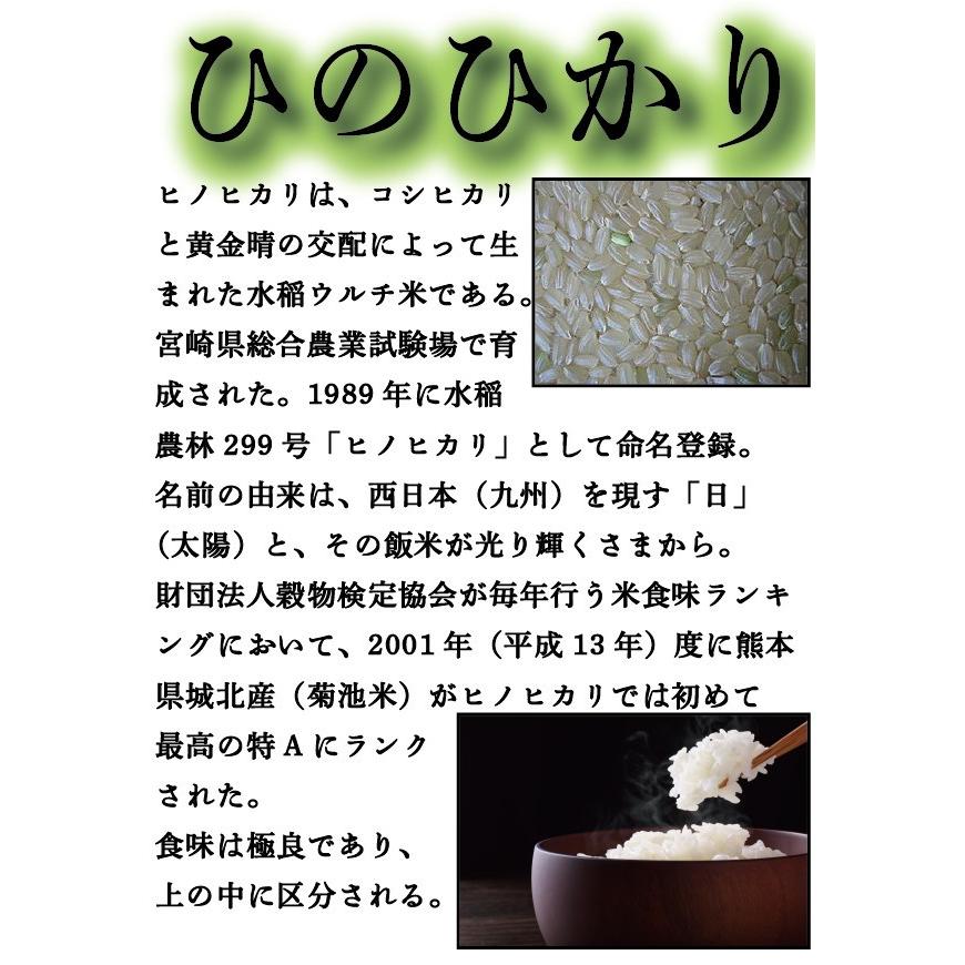 ヒノヒカリ お米 米 10kg 白米 送料無料 最短 熊本県 菊池産 ひの
