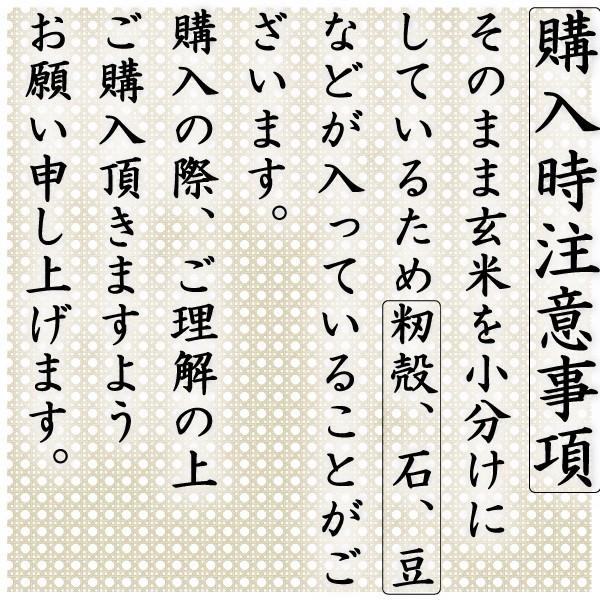 ヒノヒカリ お米 米 15kg 玄米 送料別 最短 熊本県産 ひのひかり 令和7