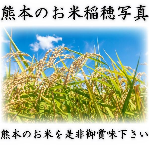ヒノヒカリ お米 米 15kg 玄米 送料別 最短 熊本県産 ひのひかり 令和7
