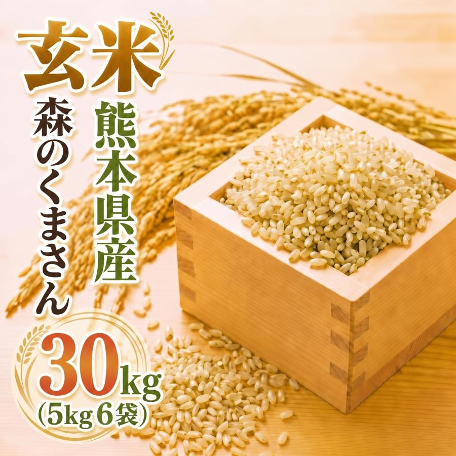 森のくまさん お米 米 30kg 玄米 送料別 最短 熊本県産 令和7年産 5kg6