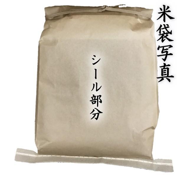 森のくまさん お米 米 30kg 玄米 送料別 最短 熊本県産 令和7年産 5kg6
