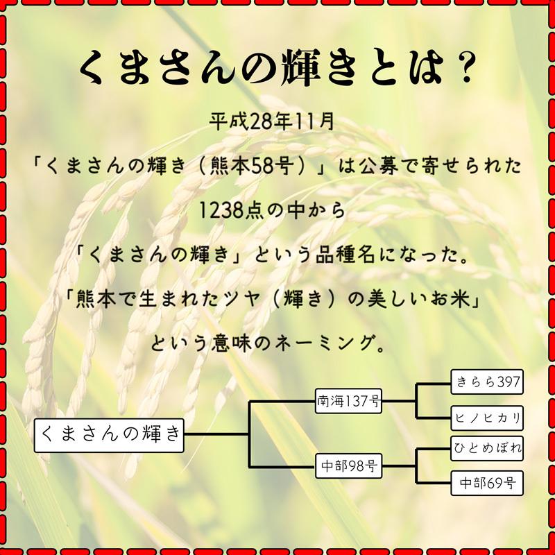 お米 米 5kg 白米 送料無料 最短 熊本県産 くまさんの輝き 令和7年産 5kg1個 くまモン くまもとのお米 富田商店 とみた商店 |  | 02