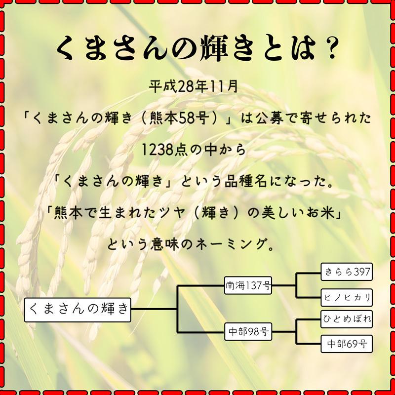 お米 米 5kg 白米 送料別 最短 熊本県産 くまさんの輝き 新米 令和8年産 5kg1個 くまモン くまもとのお米 富田商店 とみた商店 |  | 02