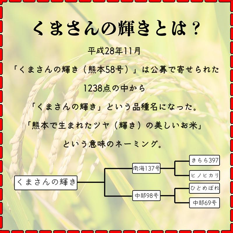 お米 米 10kg 白米 送料別 最短 熊本県産 くまさんの輝き 新米 令和8年産 5kg2個 くまモン くまもとのお米 富田商店 とみた商店 |  | 02