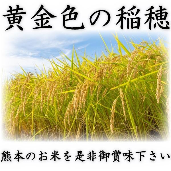 お米 米 25kg 白米 熊本県産 こしひかり あすつく 令和5年産 コシヒカリ 5kg5個 くまもとのお米 富田商店 とみた商店｜tomitasyoten｜02