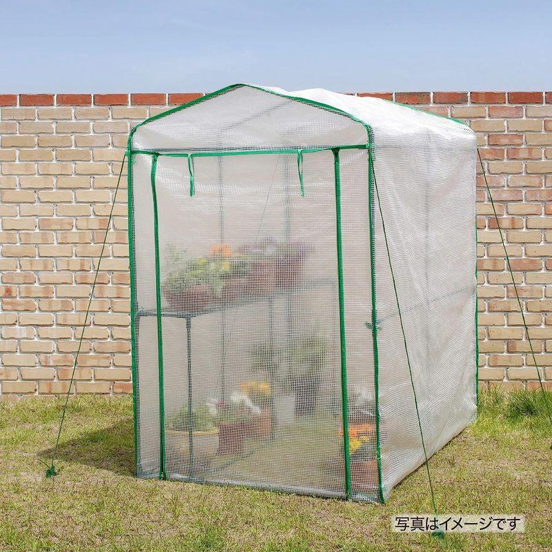 タカショー ビニール温室 特大 園芸 組立簡単 幅122cm×奥行186cm×高さ