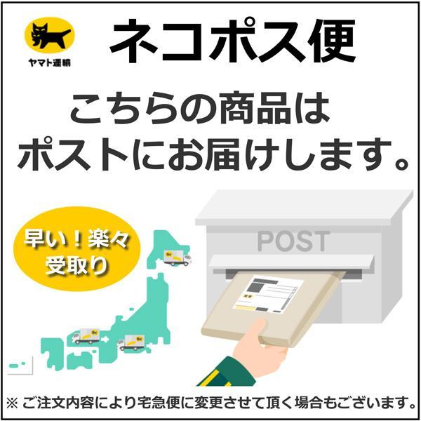 IOMIC（イオミック） IOMIC iX touch 2.0 イオミック「アイ エックス