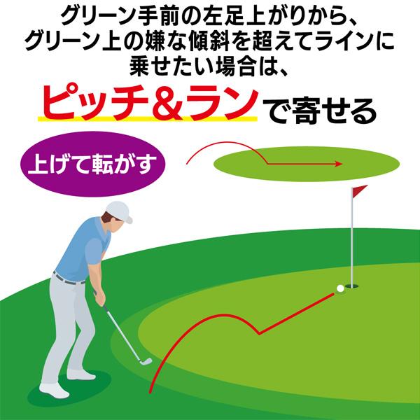 キャスコ  ドルフィン ピッチ＆ラン ウェッジ DPW-225 【48°】 Kasco Dolphin PITCH ＆ RUN WEDGE DPW225 「シャンクレスネック」の画像