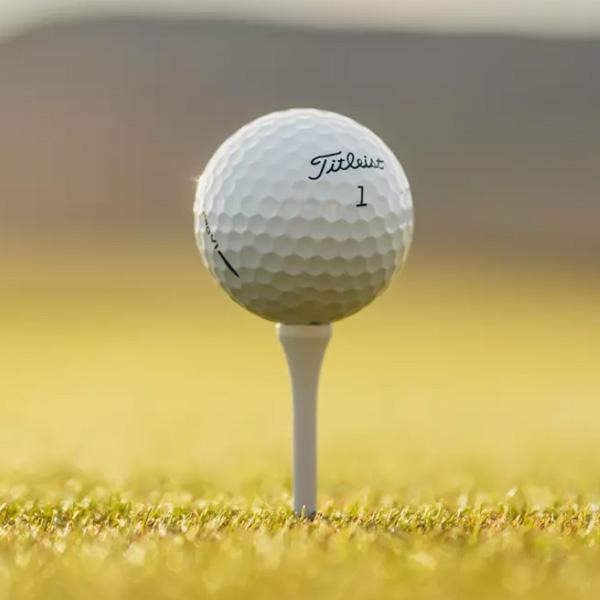 Pro V1 タイトリスト 25 PRO Titleist 1ダース ゴルフボール「日本正規