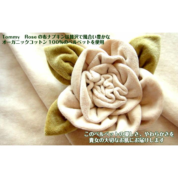 半額＆送料無料 布ナプキン ケーキナプキン ギフト オーガニック