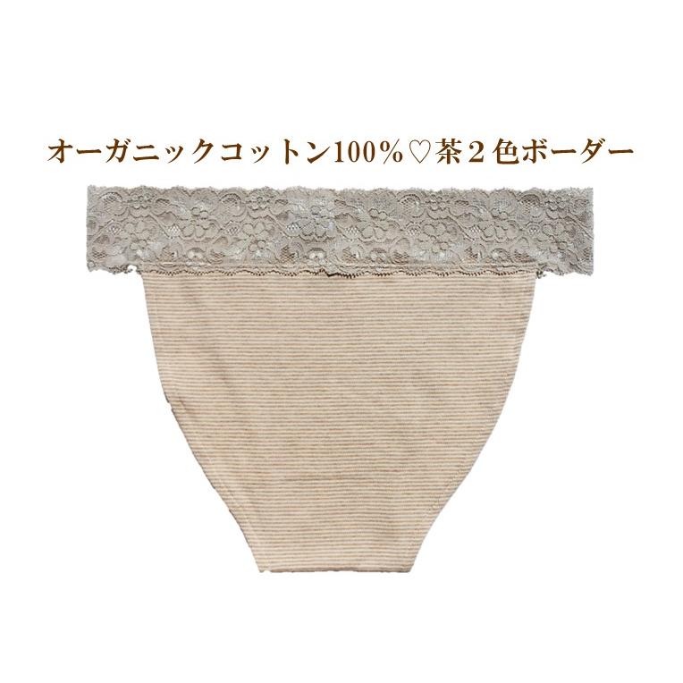 20％OFF 新発売 オーガニックコットン100％ ふんどしショーツ ふんどし