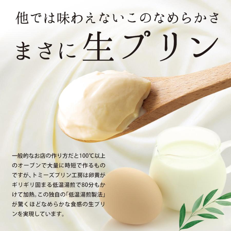 敬老の日 2026 プリン スイーツ トミーズプリンセット 送料無料 （メディア多数掲載 6個入 ギフト スイーツ 誕生日 お祝い) 有名店 高級 | トミーズプリン工房 | 02