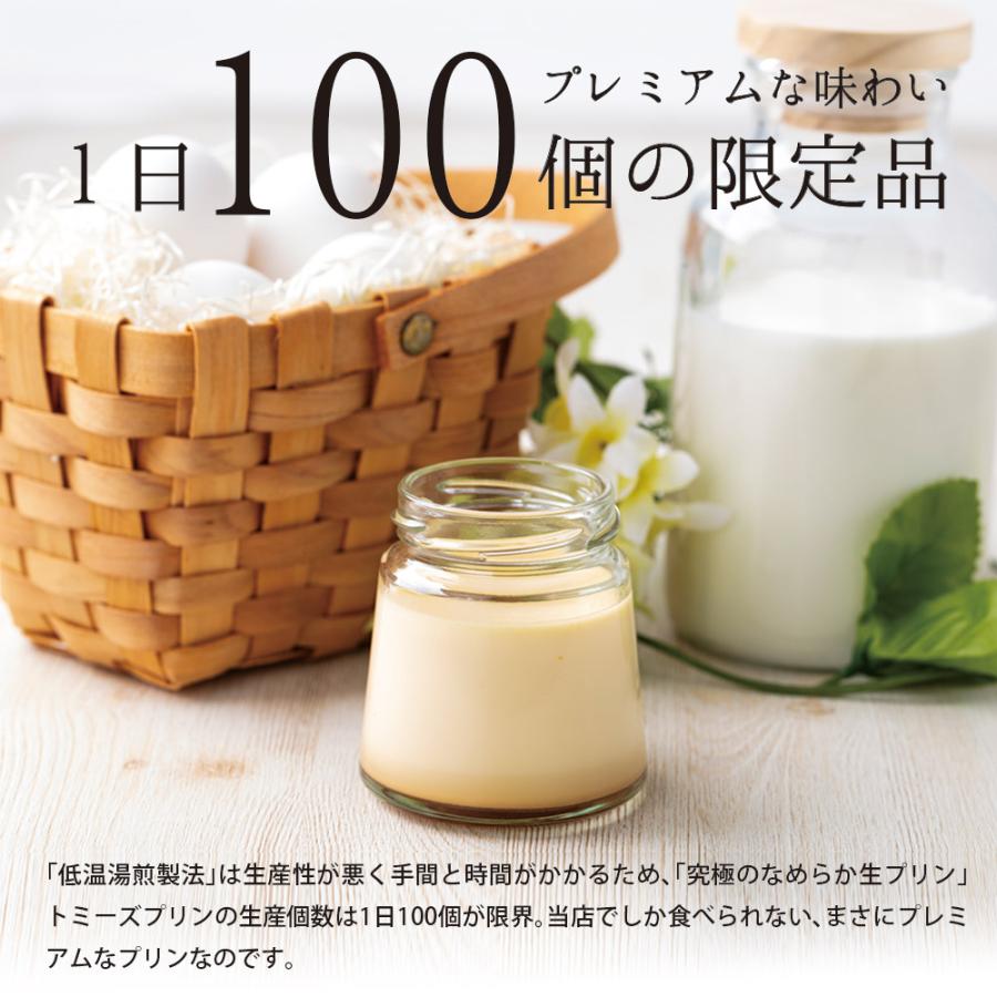 敬老の日 2026 プリン スイーツ トミーズプリンセット 送料無料 （メディア多数掲載 6個入 ギフト スイーツ 誕生日 お祝い) 有名店 高級 | トミーズプリン工房 | 04