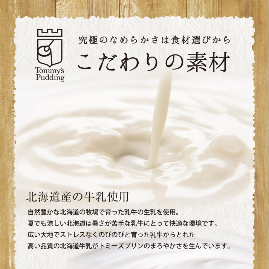 敬老の日 2026 プリン スイーツ トミーズプリンセット 送料無料 （メディア多数掲載 6個入 ギフト スイーツ 誕生日 お祝い) 有名店 高級 | トミーズプリン工房 | 07