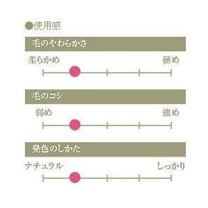 CHIKUHODO 熊野筆(化粧筆) 竹宝堂 パウダーブラシ 灰リス/粗光峰 G-8 メイクブラシ 熊野筆 化粧筆 竹宝堂 パウダーブラシ 灰リス/粗光峰 メイクブラシ