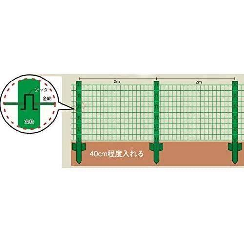 シンセイ　アニマルフェンス　1.0m×20m　AF-1020