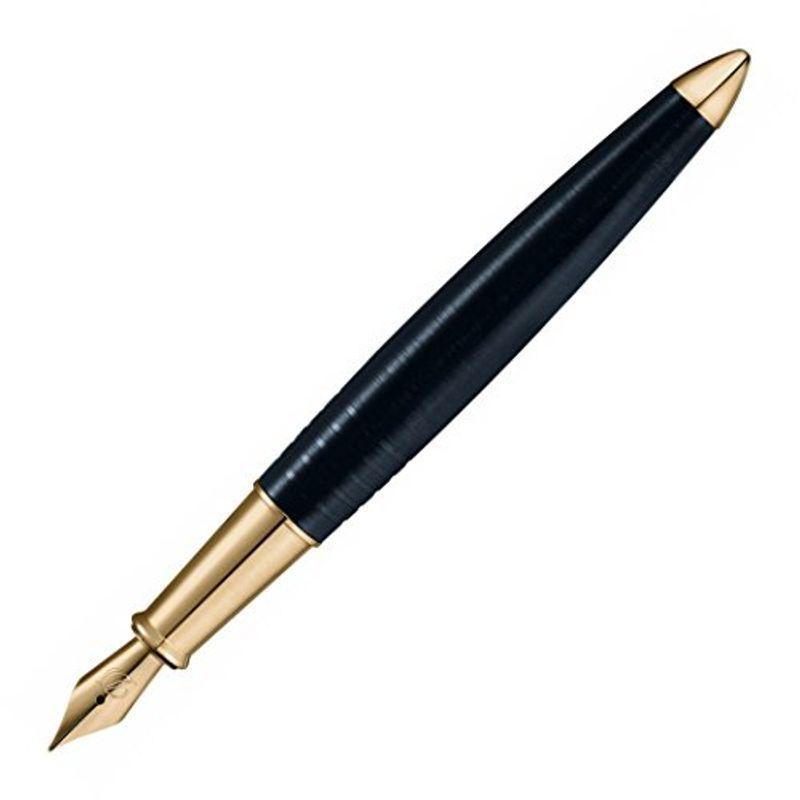エス テー デュポン 万年筆 F 細字 ストリームライン R セラミウム A.C.T 251675 両用式 正規輸入品 筆ペン