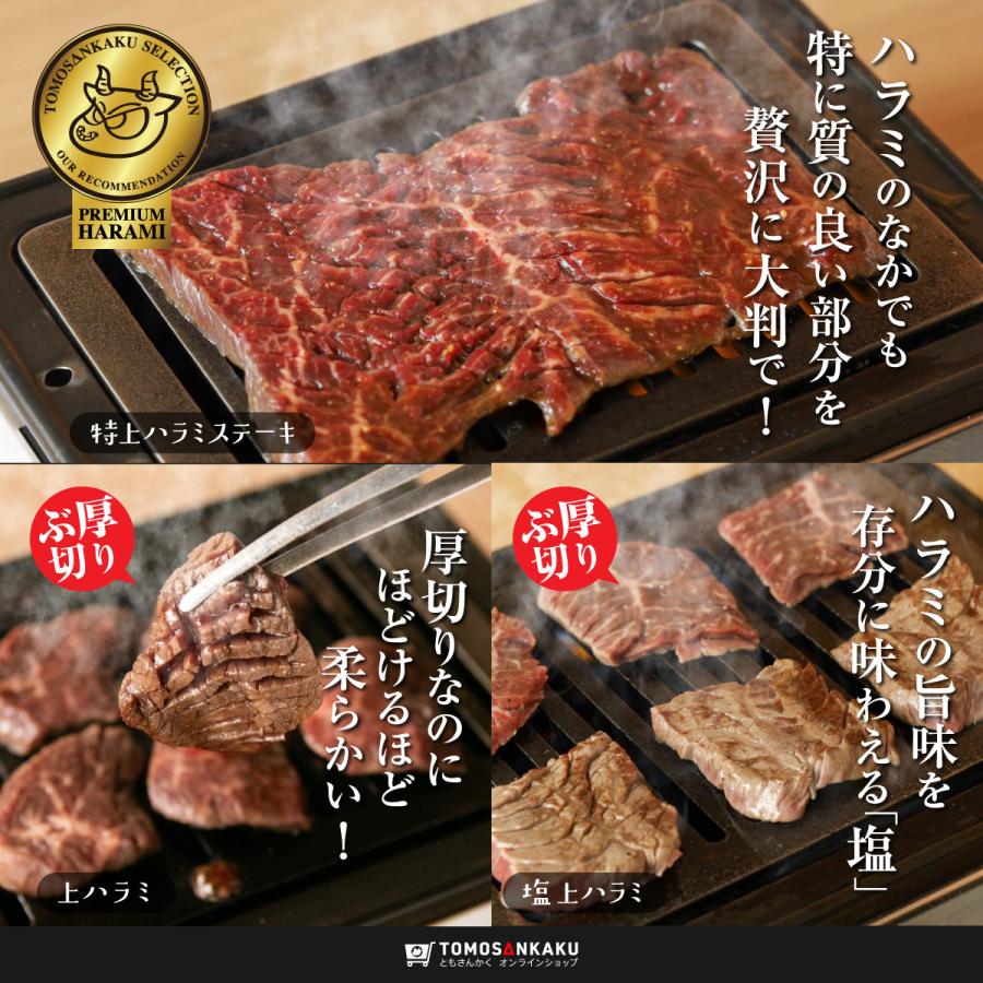 牛肉 はらみ 焼肉 究極ハラミ セット（2〜3人前 530g）味付き タレ付き TVで紹介 BBQ ギフト