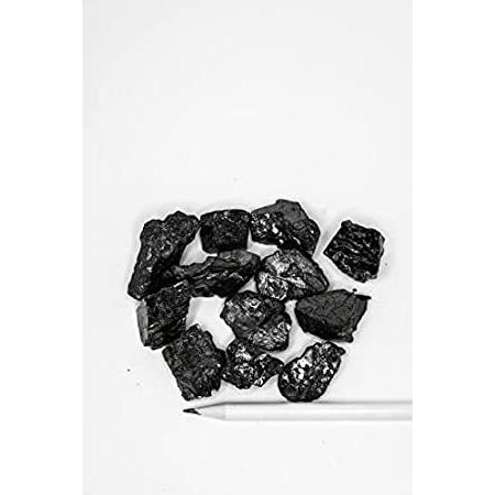 シュンガイトクラブ 庭 ガーデニング エリートシュンガイト除毒石 ロシア 100g 0 22ポンド 石材 水