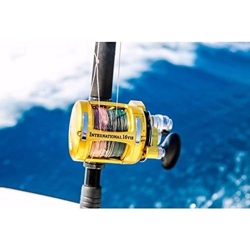 Reels Saltwater Lever Drag PENN INT80VISWS International Leverdrag  Conventional 2-Speed Reel 80 輸入販売ビジネス 釣り 
