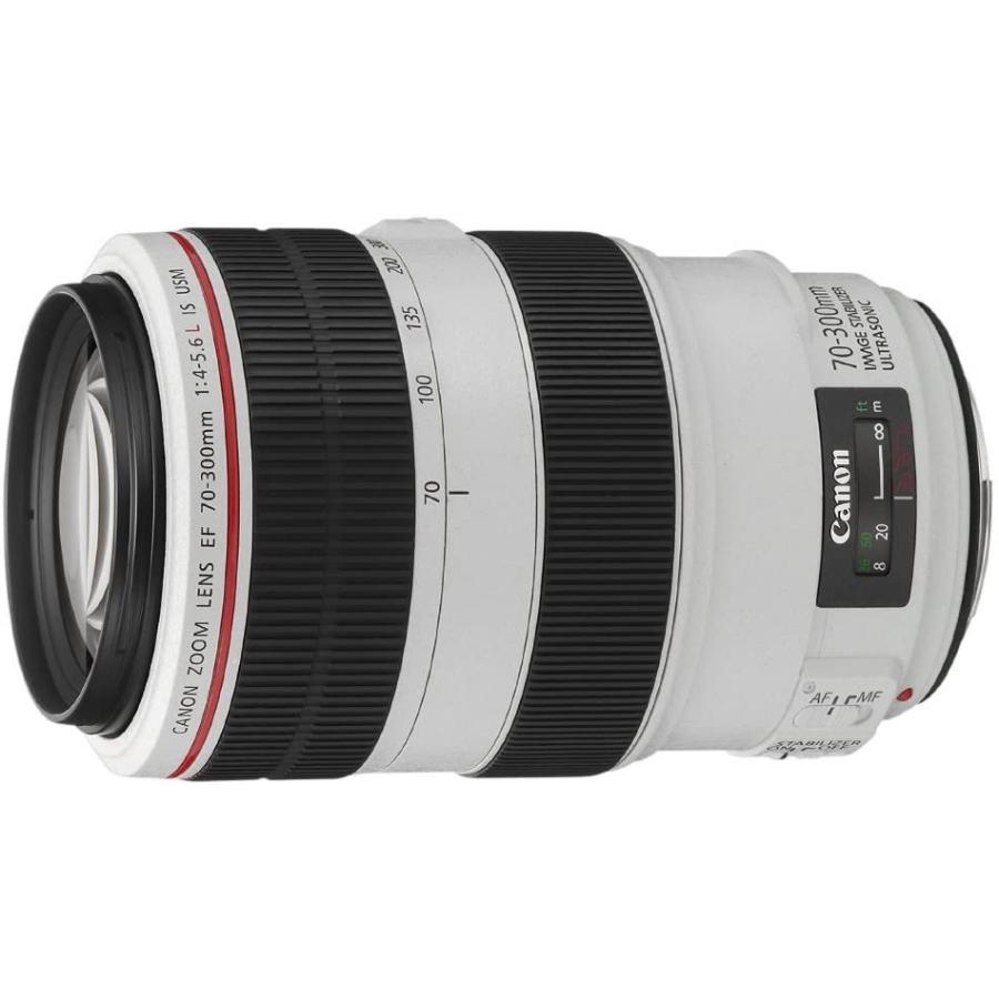 値段が激安 中古 美品 Canon Ef 70 300mm F4 5 6l Is Usm カメラ 人気 おすすめ 初心者 キヤノン Cisama Sc Gov Br