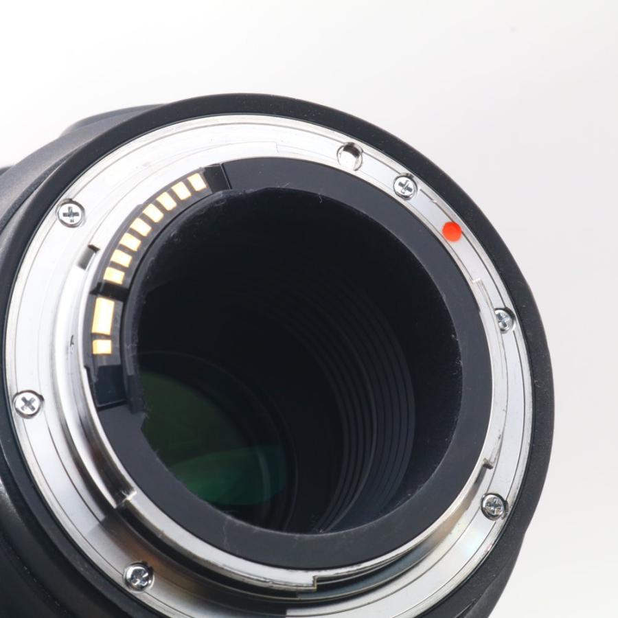 SIGMA 500mm F4 DG OS HSM | Sports S016 Canon EFマウント Full-Size