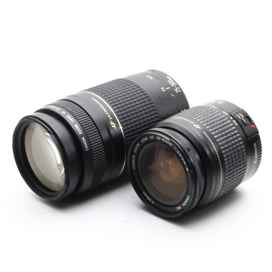 EOS Kiss 中古 美品 Canon 60D ダブルズームセット キャノン カメラ