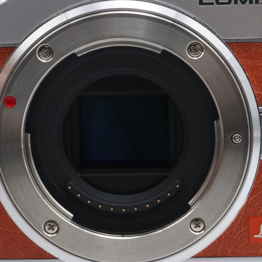 Panasonic LUMIX GF9 ダブルズームレンズキット オレンジ 〔マイクロ