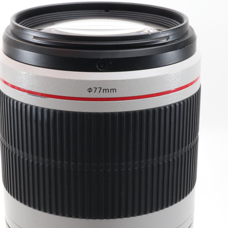 Canon EF 100-400mm F4.5-5.6L IS II USM フルサイズ対応 〔キャノン