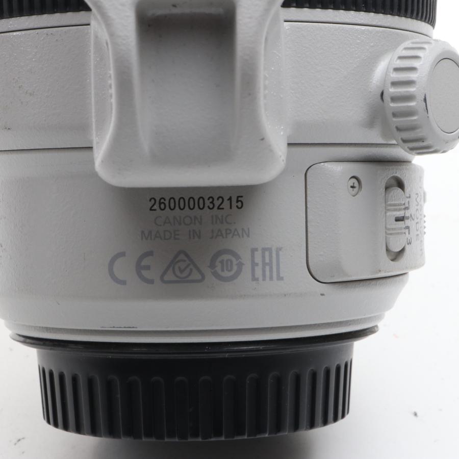 Canon EF 100-400mm F4.5-5.6L IS II USM フルサイズ対応 〔キャノン