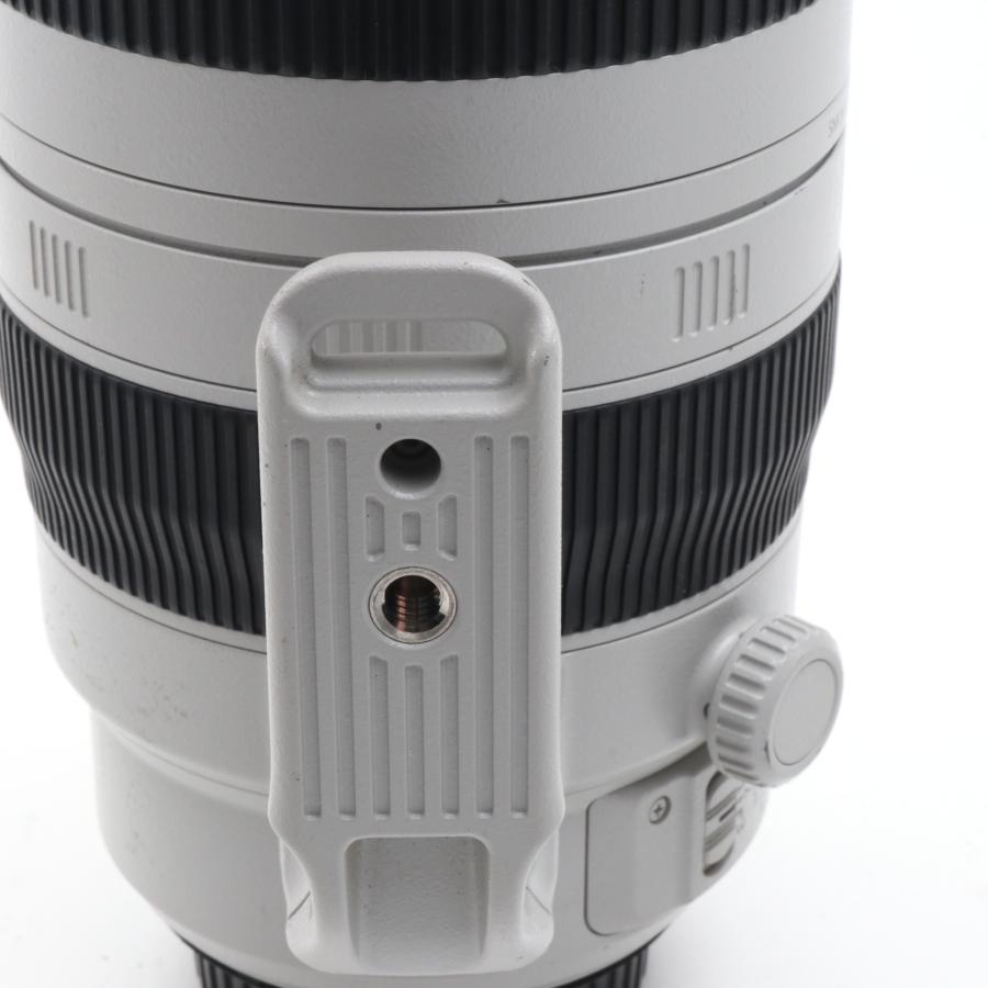 Canon EF 100-400mm F4.5-5.6L IS II USM フルサイズ対応 〔キャノン