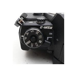 シャッター回数：15000回】OLYMPUS OM-D E-M5 MarkII ボディー
