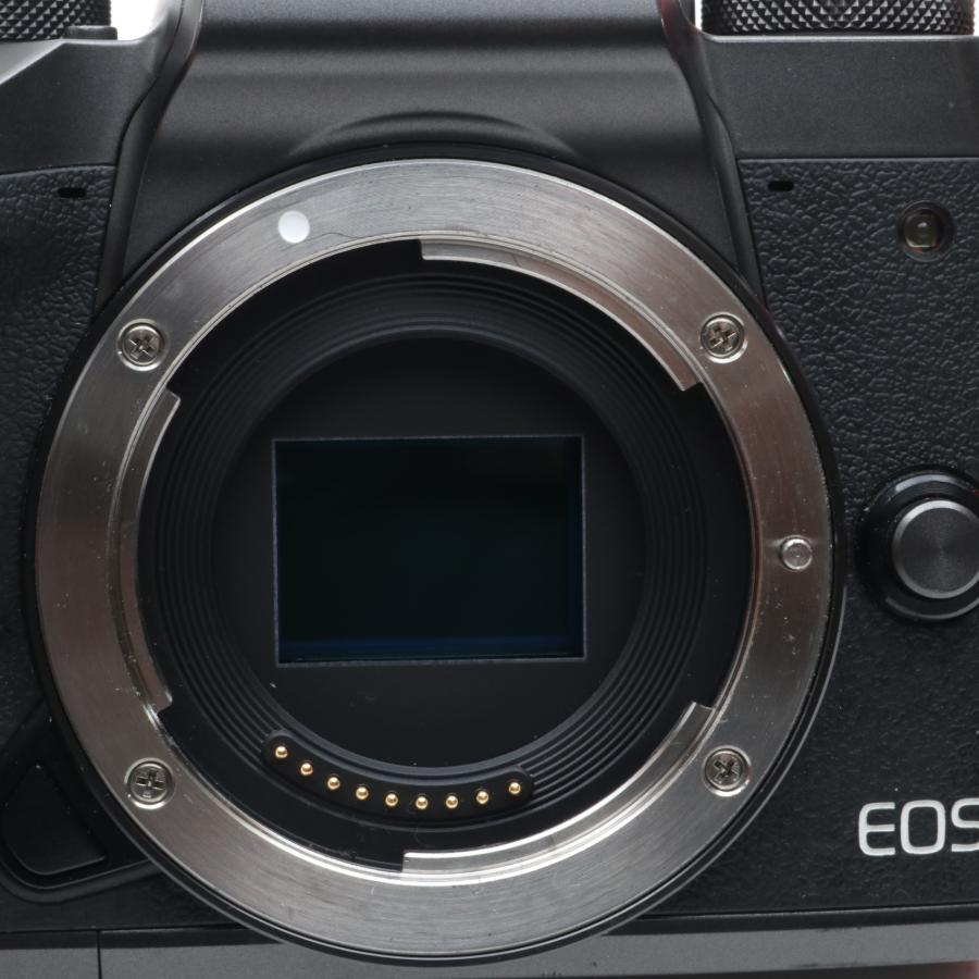 Canon EOS M5 ボディー EOSM5 ミラーレスカメラ 〔キャノン EF-M
