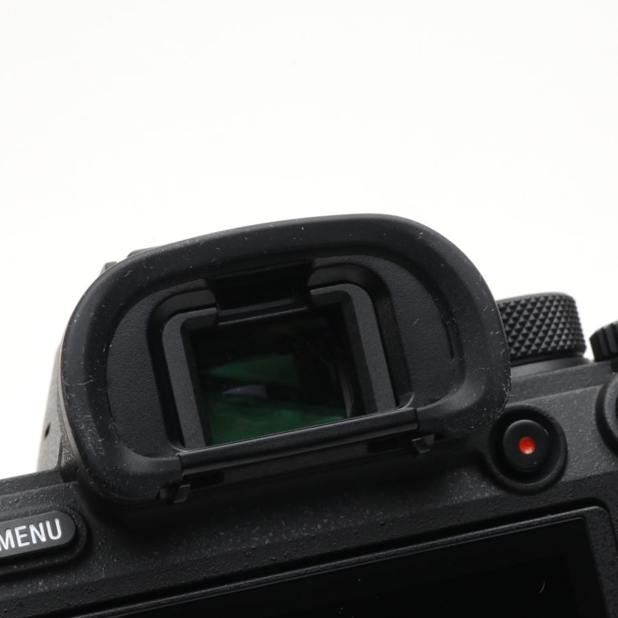 SONY α7R IV ボディ ILCE-7RM4 実用品 シャッター回数少 シャッター回数：1900回】ソニー SONY フルサイズミラーレス一眼 α7RM4
