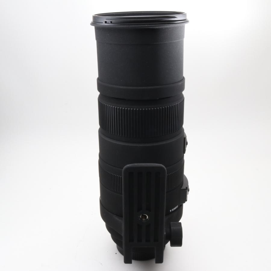 SIGMA 超望遠ズームレンズ APO 150-500mm F5-6.3 DG OS HSM シグマ用 フルサイズ対応 737566_2